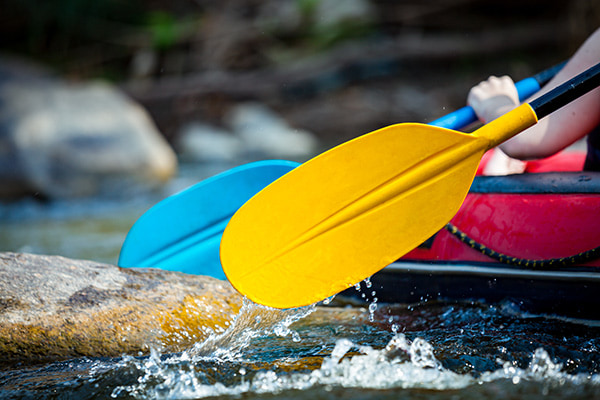 Beginner Rapids