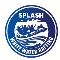 splash logo
